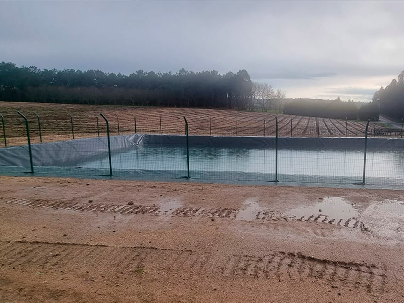 Instalación de riego por goteo, estación de bombeo e impermeabilización, en 6 Ha en Rías Baixas